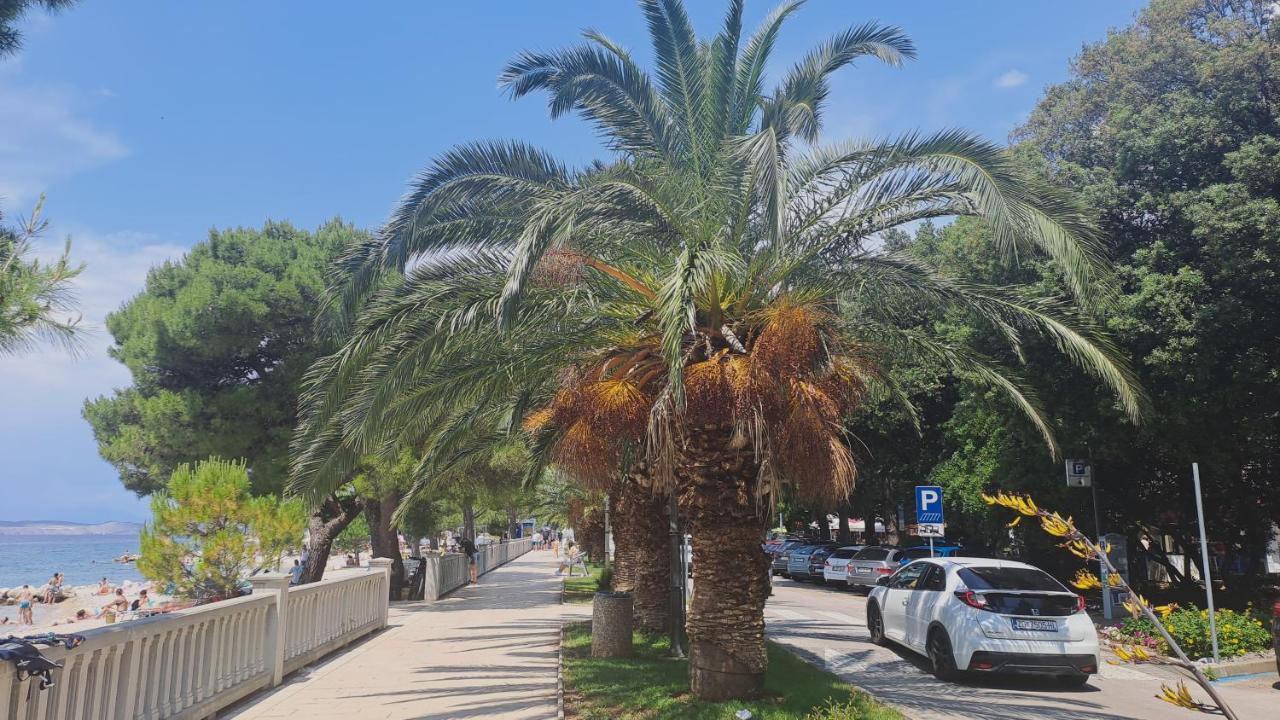 Apartments Del Mare تْسْغيكفانِتْسا المظهر الخارجي الصورة
